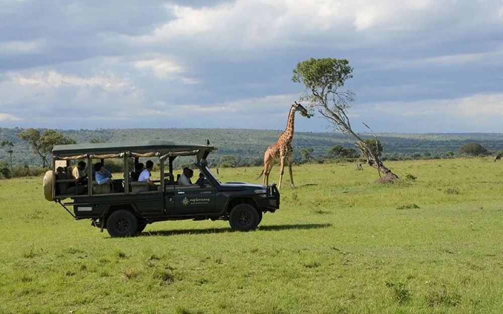 LUXURY MASAI MARA SAFARI